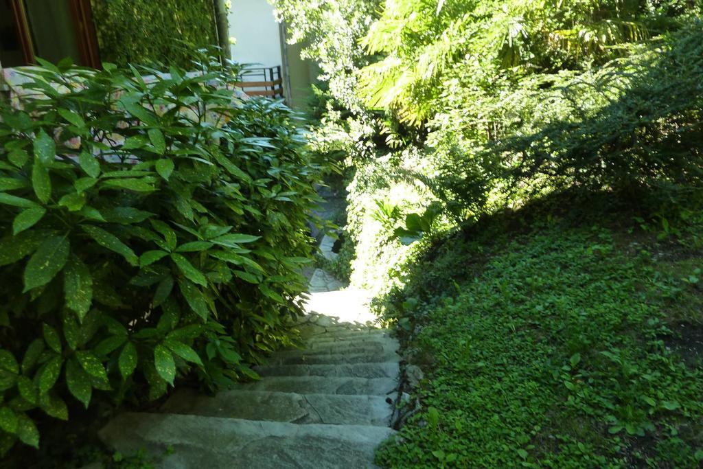 B&B Le Ortensie -Lago di Como Lierna Exterior foto