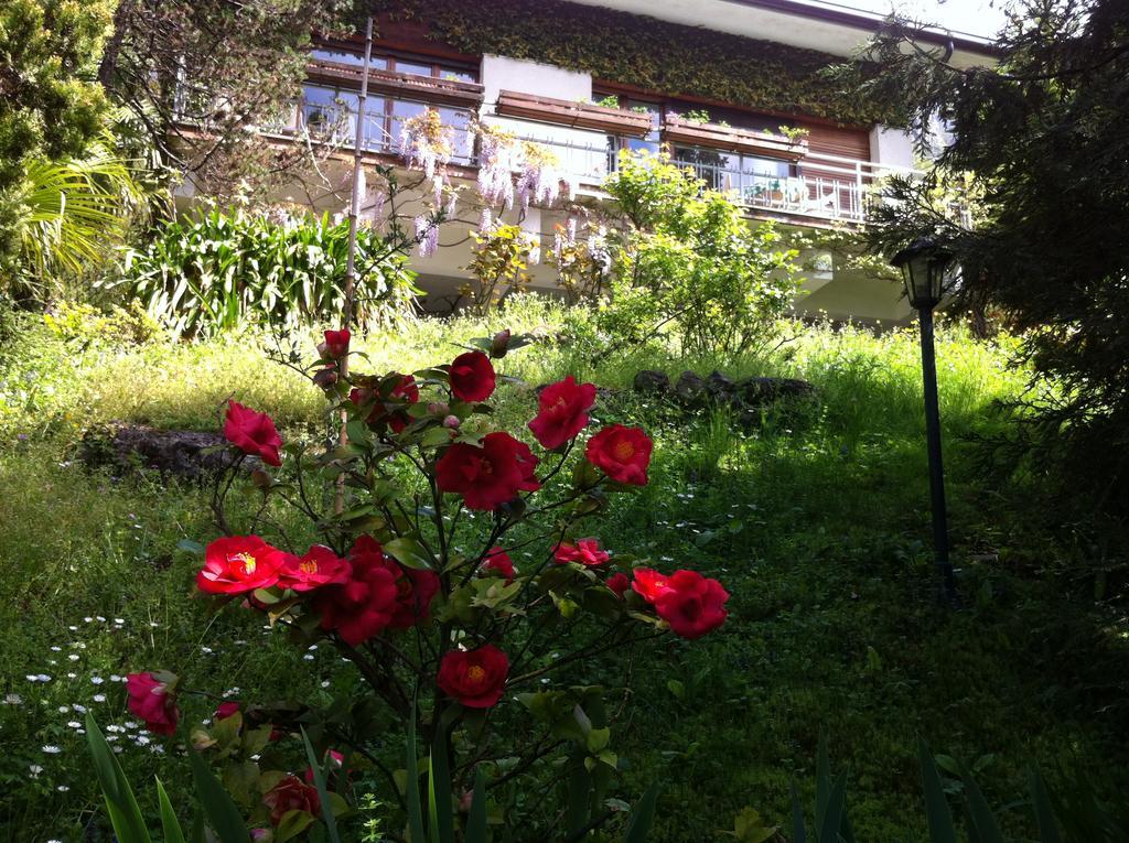 B&B Le Ortensie -Lago di Como Lierna Exterior foto