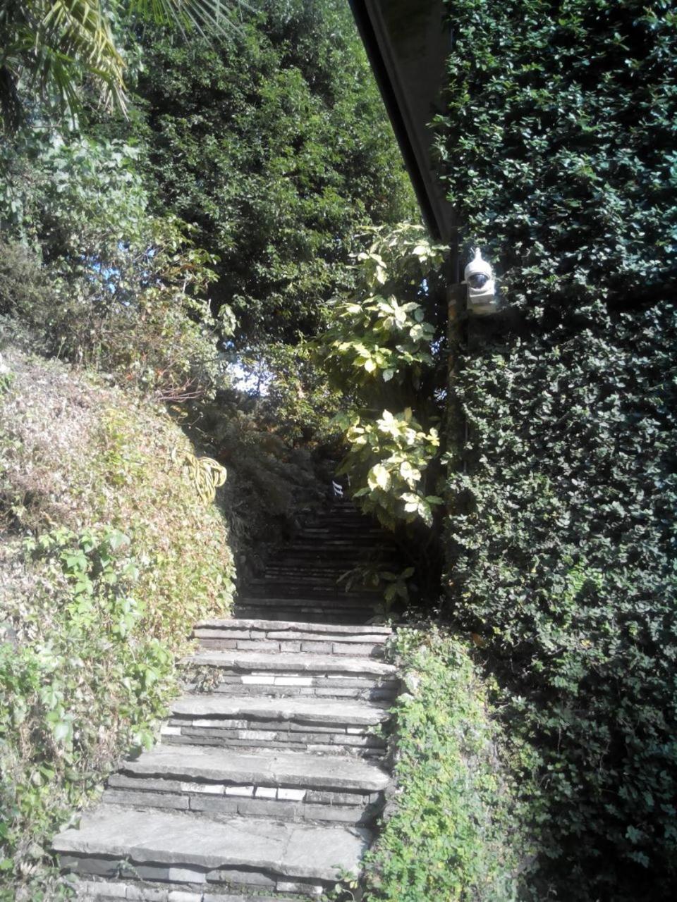 B&B Le Ortensie -Lago di Como Lierna Exterior foto