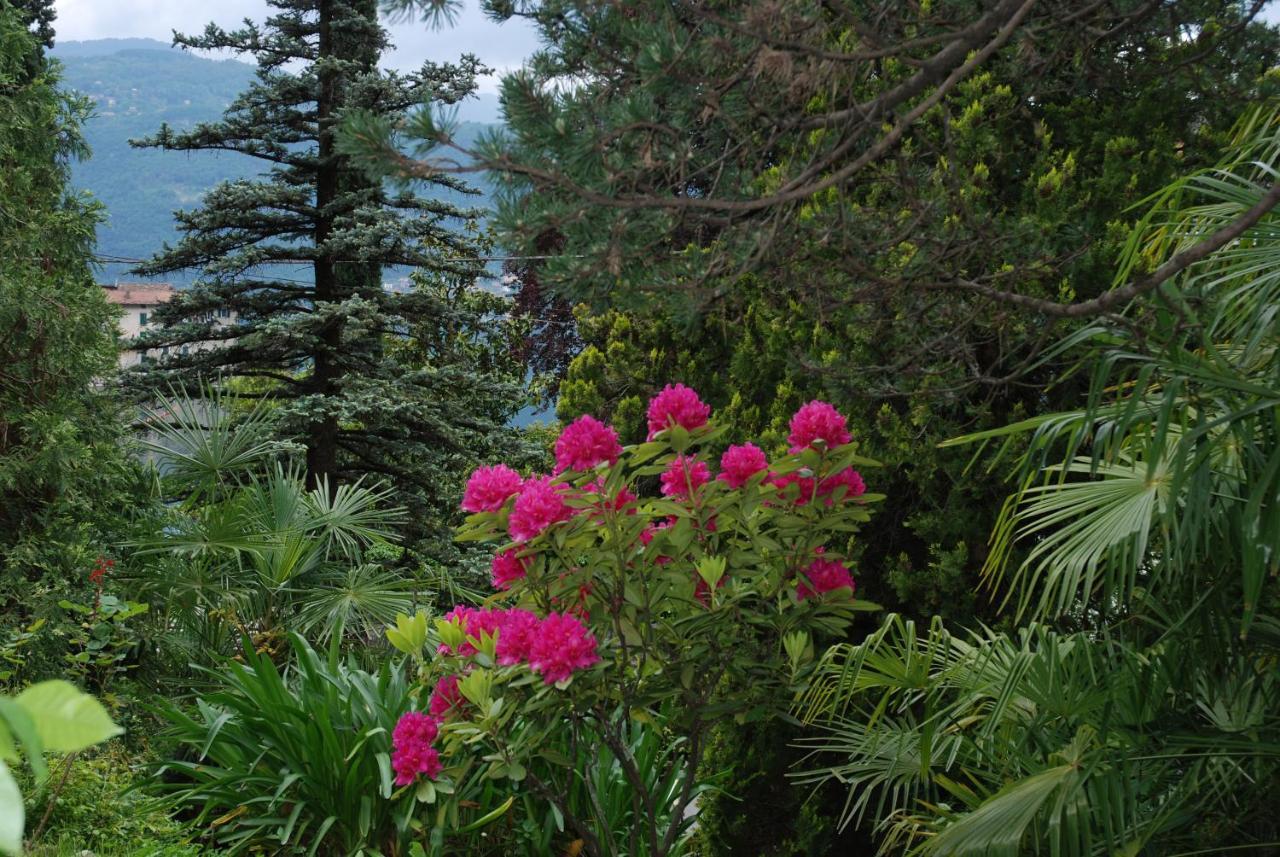 B&B Le Ortensie -Lago di Como Lierna Exterior foto